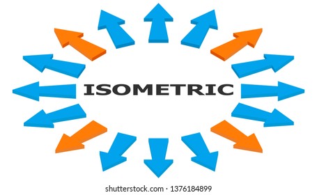 Set of arrows in isometry. 16 arrows indicate different directions.