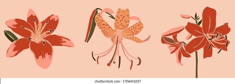 Set Art collage lily flower in a minimal trendy style. Silhouette of lily plants in a contemporary simple abstract style on a pink background. Vector illustration For t-Shirt Print, card, poster