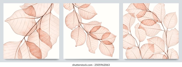 Set of art posters with hand-drawn autumn leaves on a branch. Botanical fall set of transparent leaves for print, postcard, invitation, wallpaper, packaging, interior.