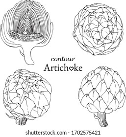 set of artichoke contours from different angles