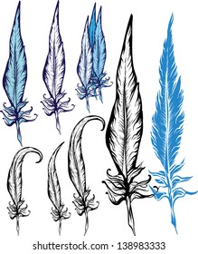 set of artistic bird feathers
