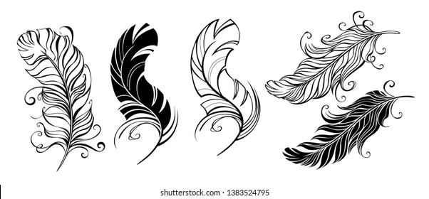 Set of artistic, fluffy, black, bird feathers on white background. Tattoo style.