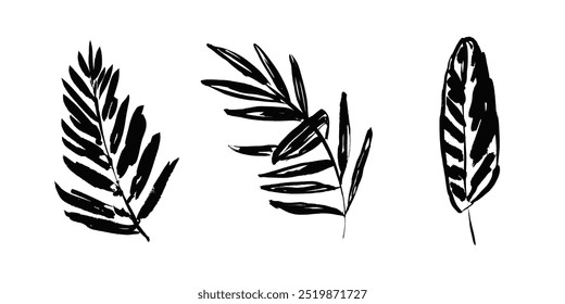 Set of artistic sketch vector black ink hand drawn tropical leaves, fern, palm, banana leaf. Trendy expressive grunge textured botanical elements for textile pattern design, greeting card, logo