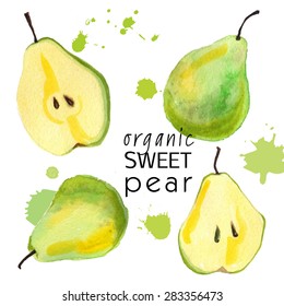 set of artistic watercolor sweet and ripe green pears, isolated on white background - hand drawn vector illustration