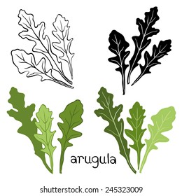 Set of arugula  isolated on white background. Hand drawn vector illustration, sketch. Elements for design.