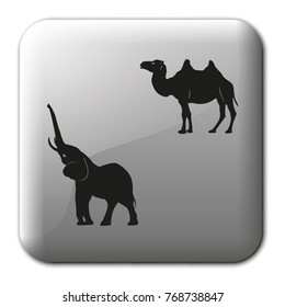 Set of asian animals flat vector icon.