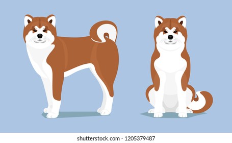 Set of Asian dog Akita Inu, a dog stands and sits isolated on a blue background. Animals and nature, pet, friend, family, guard. Flat design, illustration. Vector EPS10