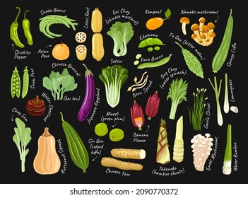 Set of asian exotic vegetables on black background with white chalk inscriptions. Korean, japanese, chinese ingredients and food. Vector hand drawn flat illustrations for restaurant menu, recipes.