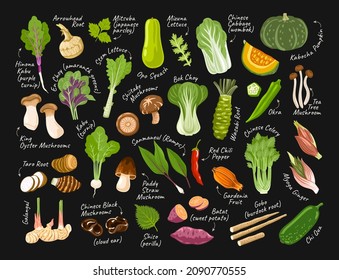 Set of asian exotic vegetables on black background with white chalk inscriptions. Korean, japanese, chinese ingredients and food. Vector hand drawn flat illustrations for restaurant menu, recipes.