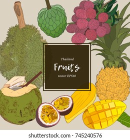 set of asian fruit- durian , coconut ,passion fruit, mango , pineapple, lychee and custard apple. hand draw sketch vector.