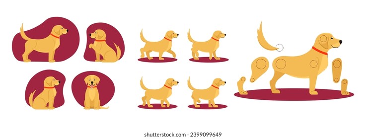 Set of assets to animate cute dog. Body parts of adorable pet or animal for animation of walk frame by frame. Portrait of happy puppy. Cartoon flat vector illustrations isolated on white background