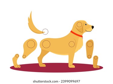 Set of assets to animate cute dog. Character Constructor Elements for Frame by Frame Animation. Adorable puppy with moving paws, tail and ears. Cartoon flat vector illustrations isolated on background