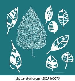 set of assorted hand drawn leaves on green background 
