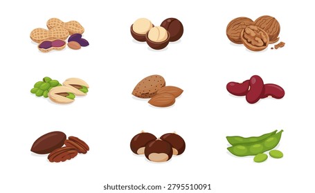 Set of assorted healthy organic nuts and leguminous seeds with pistachios