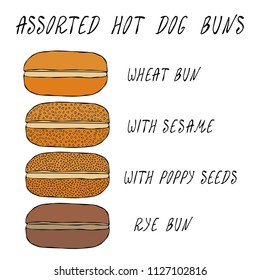 Set of Assorted Hot Dog Buns. Wheat Bun with Sesame, Poppy Seeds, Rye Bun. For Fast Food, Restaurant or Bar Menu. Hand Drawn High Quality Clean Vector Realistic Illustration. Doodle Style.