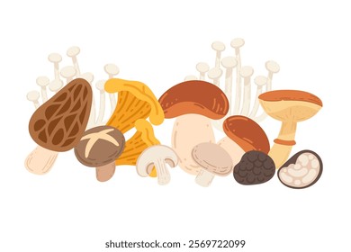 Set of Assorted mushrooms illustration with chanterelles, porcini, enoki, and others. Perfect for restaurant menus, or natural-themed designs. Vector illustration isolated on white