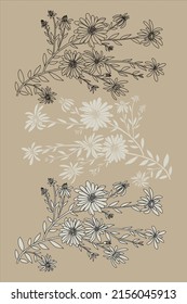 Set of aster flowers. Hand drawn outline converted to vector