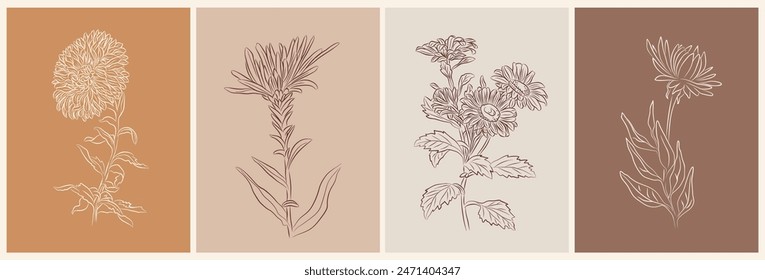 Set of Aster, September birth month flower wall art, posters. Botanical line art vector illustrations on terracotta and beige backgrounds. Modern design for jewelry, tattoo, logo, packaging.