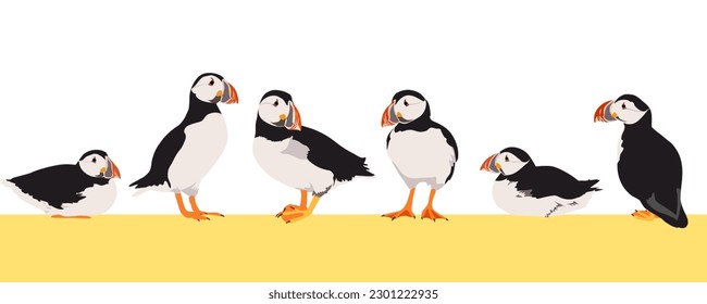 Set of atlantic puffin bird in different poses. Design flat vector illustration isolated on white background. Fratercula arctica. svg