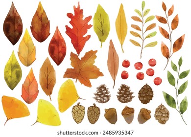 set of atumn floral watercolor, flower watercolor, leaves watercolor. Draw vector illustration collection autumn leaves for fall autumn season concept Watercolor style. 