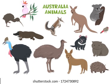 Set of Australia animals isolated on a white background. Vector graphics.