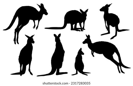 Set of Australian big red kangaroo silhouettes. Osphranter rufus females, males and baby kangaroos in different poses. realistic vector animal