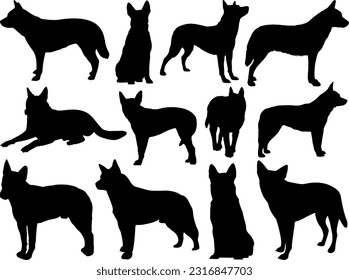 Set of Australian Cattle Dogs Silhouette