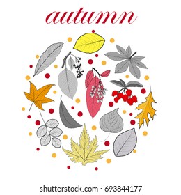 Set of autumn abstract monochrome and colored leaves in vector illustration.