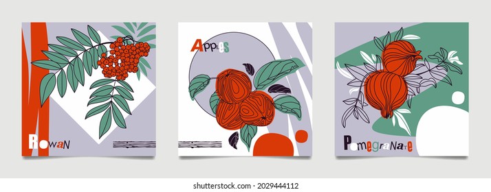 Set of autumn abstractions with rowan, apples and ripe pomegranate. Modern floral vector illustration, poster, mood board, wall art poster, fashion. Contemporary color palette.