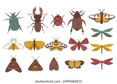 Set of autumn animals and insects in flat minimalistic style. Vector illustration of inhabitants of fields, gardens and forests