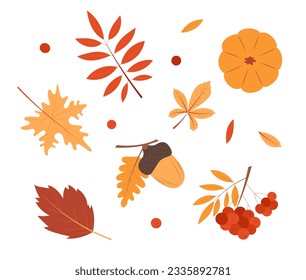 Set of autumn attributes. Elements for design. Vector illustration isolated on white background.