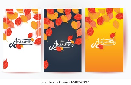 set of autumn background vector illustration 