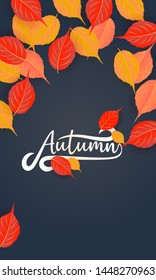 set of autumn background vector illustration 