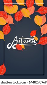 set of autumn background vector illustration 