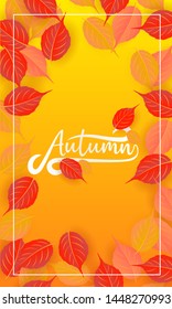 set of autumn background vector illustration 