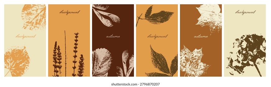 Set of autumn backgrounds. Posters with grunge, grainy silhouettes of autumn leaves and flowers. Templates for social media and stories with traced plants. Hand drawn vector illustration collection