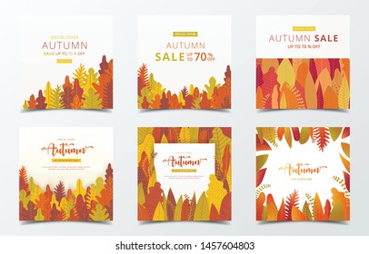 Set of autumn banner design template. Square social media banner. Cute card with yellow tree and forest.