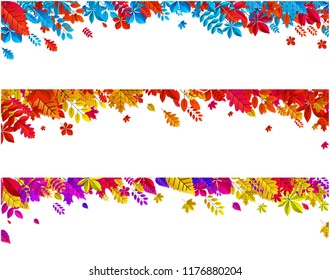 Set of autumn banners with beautiful colorful leaves. Vector background. 