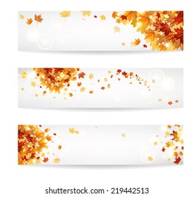 Set of autumn banners with beautiful maple leaves.