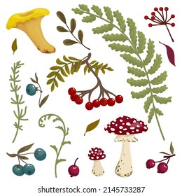 Set of autumn berries and forest plant leaves.Cartoon vector graphics.