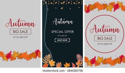 Set of Autumn Big Sale Offer background template. seasonal concept vector for advertising