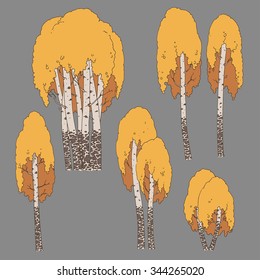 Set of autumn birch trees on gray background. Ukraine