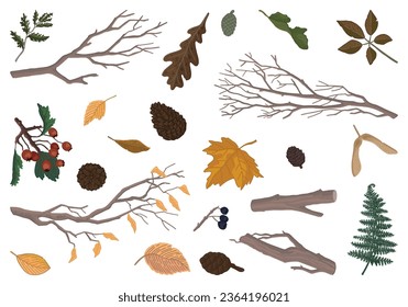 Set of autumn botany attributes. Doodles of fallen leaves, branches, pine cones, rowan twig. Cartoon vector illustrations collection isolated on white background.