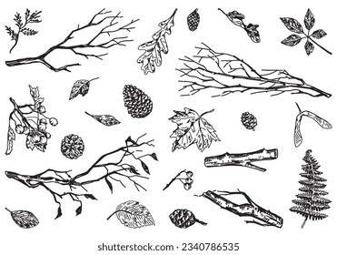 Set autumn botany attributes