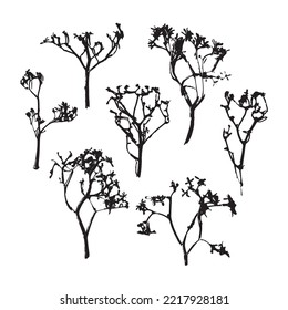 Set of autumn branches. Autumn branch of field grass. Natural print of grass. Botanical element for design, print, pattern. Vector illustration.