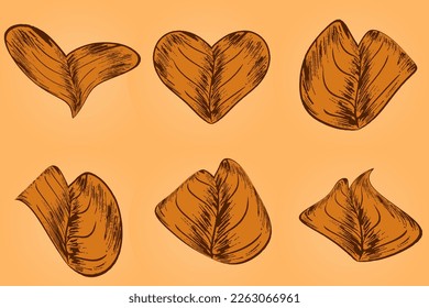 Set of autumn brown leaves - fallen leaf