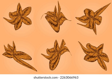 Set of autumn brown leaves - fallen leaf