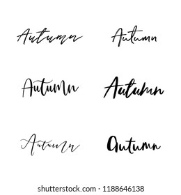 Set of autumn calligraphy. Vector illustration. Modern typography isolated on white background.