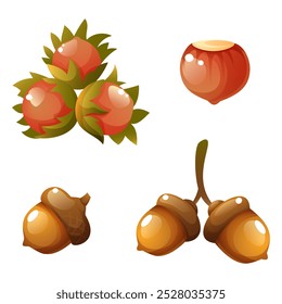 Set of autumn cartoon elements on white background. Acorns, hazelnuts, hazelnuts. For stickers, web design, postcards, posters.