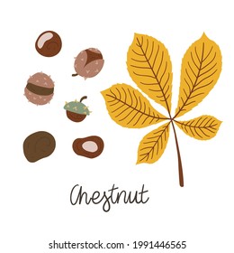 Set of autumn chestnuts with leaf and hand-written inscription. Flat style. Cute organic illustrations. Isolated on white background.